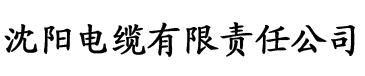 91香蕉视屏苹果电缆厂logo